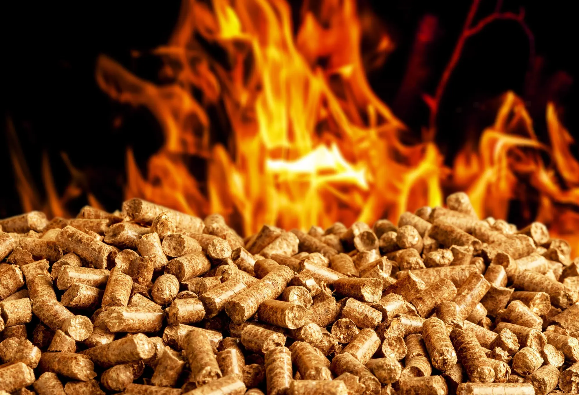 Pellets de Granules Services sur fond de flamme